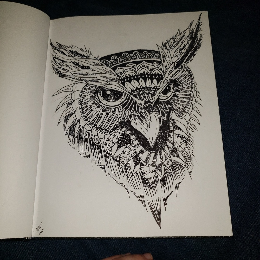 Nature illustrations - Picture 5 of 5